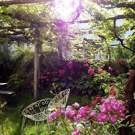 Bed & Breakfast Uvablu Trontano Luaran gambar