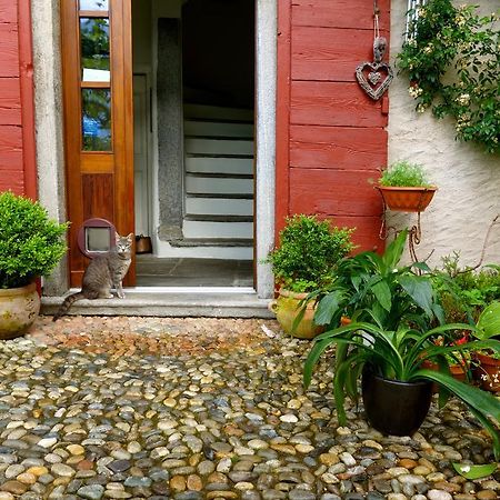 Bed & Breakfast Uvablu Trontano Luaran gambar
