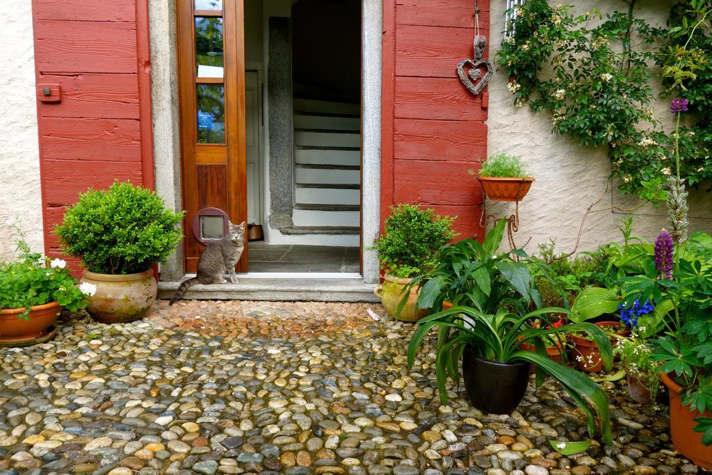 Bed & Breakfast Uvablu Trontano Luaran gambar