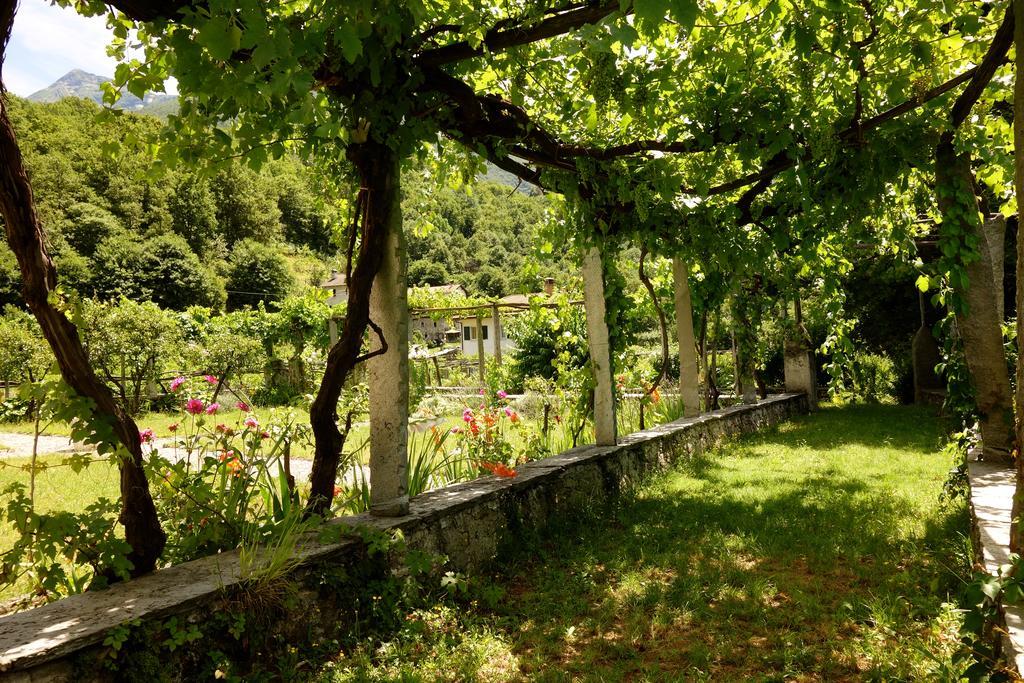 Bed & Breakfast Uvablu Trontano Luaran gambar
